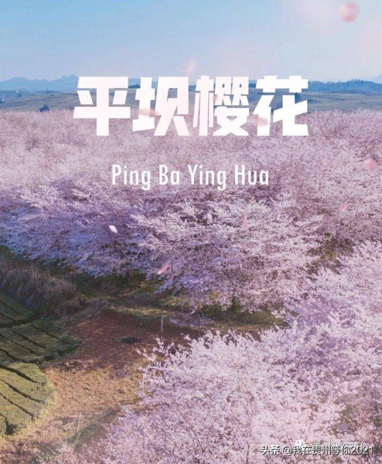 卡塔尔亚洲杯：印度尼西亚主帅申台龙看台观战
